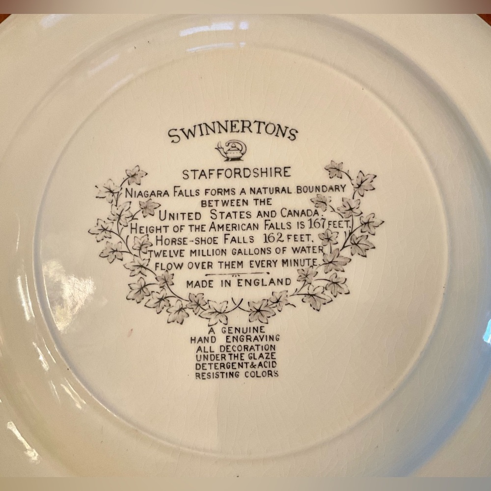 Staffordshire Niagara Falls Plate - Picture 5 of 14